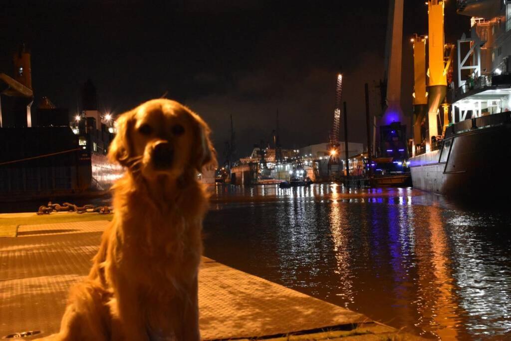 Loft Port Marina 26 Lägenhet Bremerhaven Exteriör bild